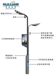 Wisdom Street Lamp