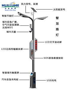 Wisdom Street Lamp